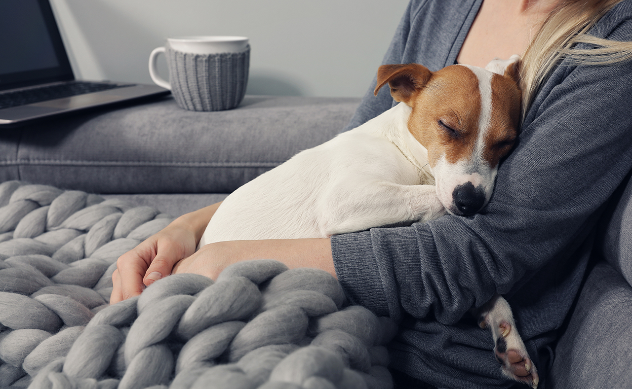 Cozy home, woman covered with warm blanket watching movie, hugging sleeping dog